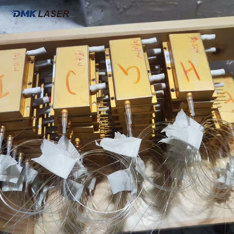 Raycus Laser Source Full Power - Industrial Laser Diode ulasan dan harga